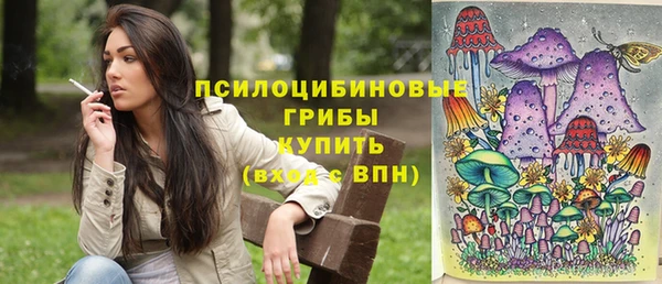 spice Абинск