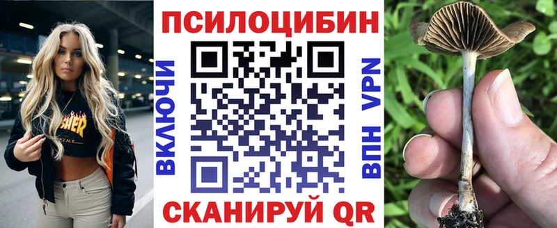 Псилоцибиновые грибы Psilocybe  Инта 