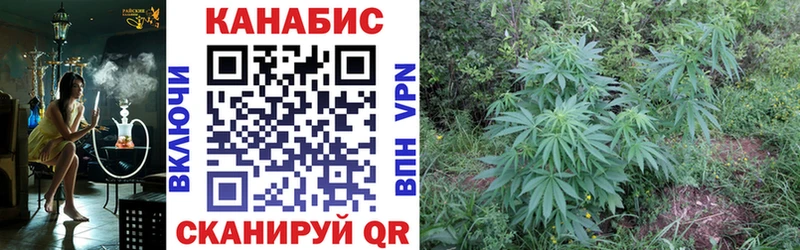 где можно купить наркотик  Инта  Каннабис сатива 